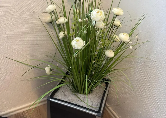 Apartment Am Rathaus *